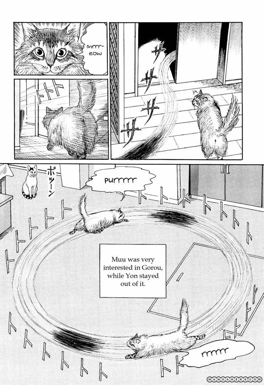 Ito Junji's Cat Diary Chapter 9 10